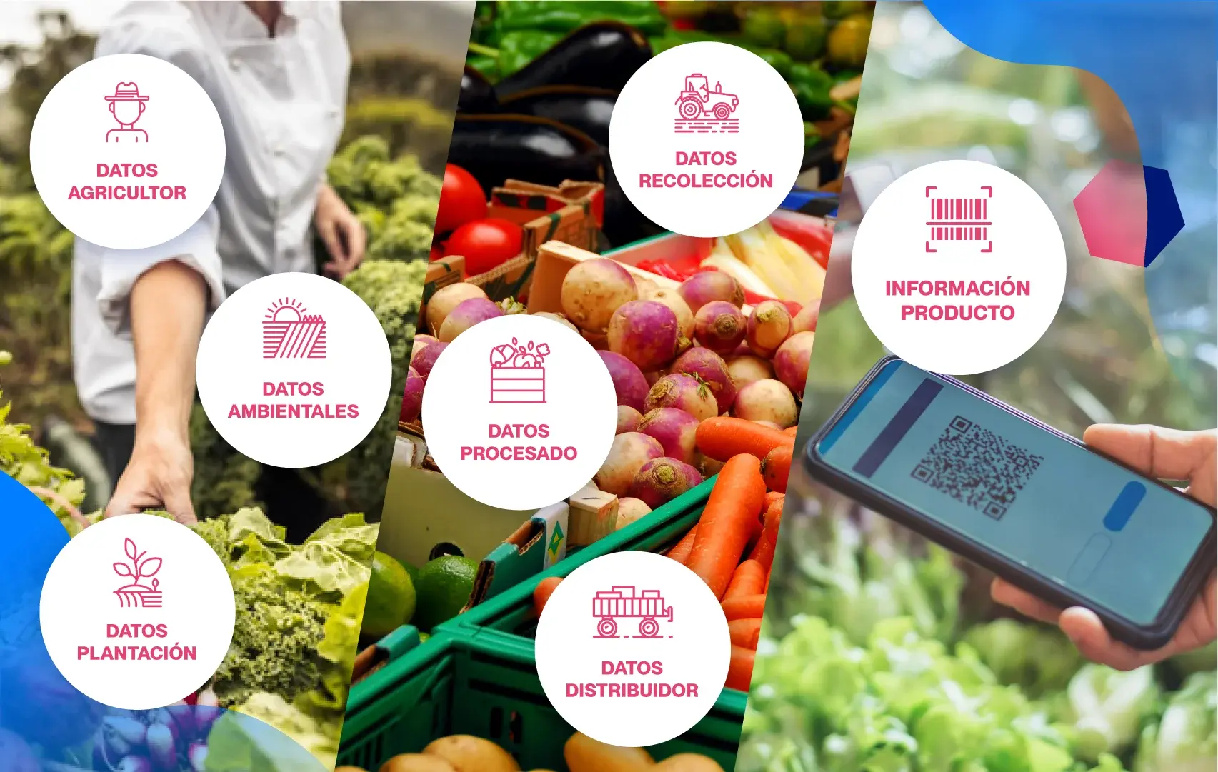 Infografía blockchain agrícola